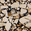 thinsection3.jpg (34065 bytes)